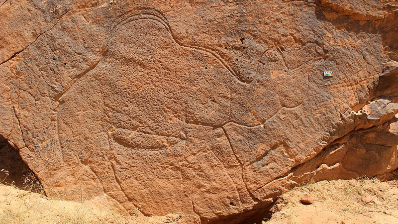 12,000-Year-Old Camel Carvings Reveal Ancient Water Routes 12_000_Year_Old_Camel_Carvings_Reveal_Ancient_Water_Routes