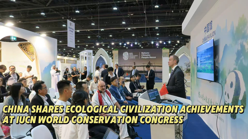 20_Years_of__Two_Mountains___Chinese_Mainland_s_Ecological_Success_at_IUCN_Congress_poster - My Global News: Voices of a New Era 20_Years_of__Two_Mountains___Chinese_Mainland_s_Ecological_Success_at_IUCN_Congress video poster