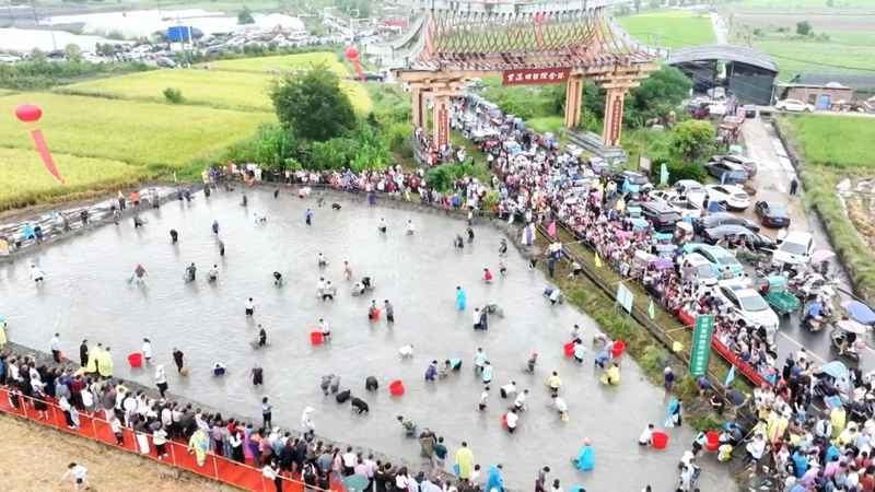 Golden Autumn Adventures: Harvest Fun in Jiangxi’s Yinhe Town Golden Autumn Adventures: Harvest Fun in Jiangxi’s Yinhe Town video poster