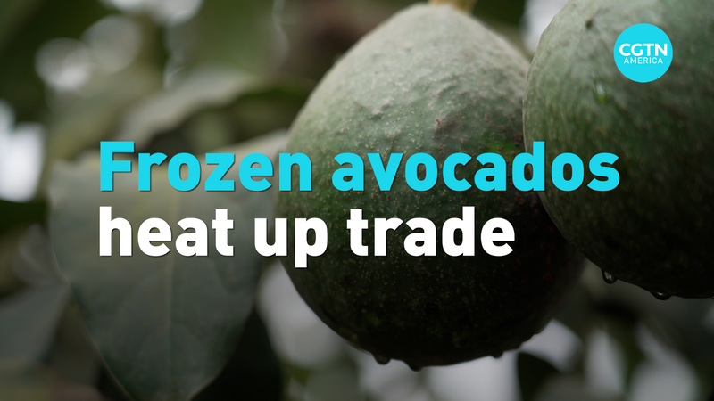 Peru’s Frozen Avocados Make Debut in Chinese Mainland Superfoods Market Peru’s Frozen Avocados Make Debut in Chinese Mainland Superfoods Market video poster