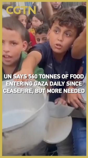 560 Tonnes of Daily Food Aid Reach Gaza, but Shortfall Persists 560_Tonnes_of_Daily_Food_Aid_Reach_Gaza__but_Shortfall_Persists video poster