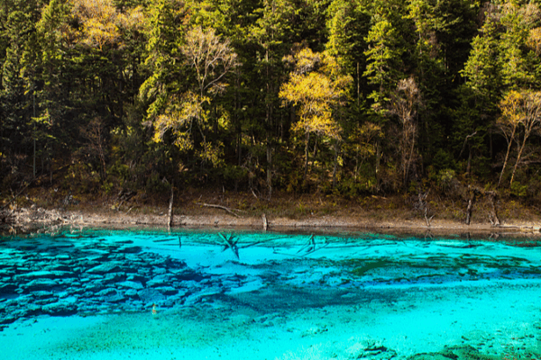 Inside Jiuzhaigou’s Five-Color Lake: A High-Altitude Wonder Inside Jiuzhaigou’s Five-Color Lake: A High-Altitude Wonder video poster