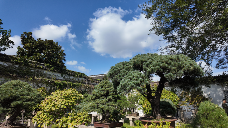 8SYOJ4AGIU34YDK7O5IA - My Global News: Voices of a New Era Exploring Suzhou: Pei’s Museum Meets the Humble Administrator’s Garden
