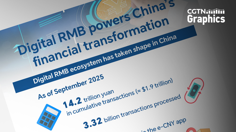 8X4Q0QQVANPWUC6YJCSZ - My Global News: Voices of a New Era How China’s Digital RMB is Transforming Its Financial Landscape