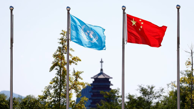 97K2BUN5EM74I1LMZ4WB - My Global News: Voices of a New Era UN at 80: China’s Growing Impact on Global Humanitarian Aid