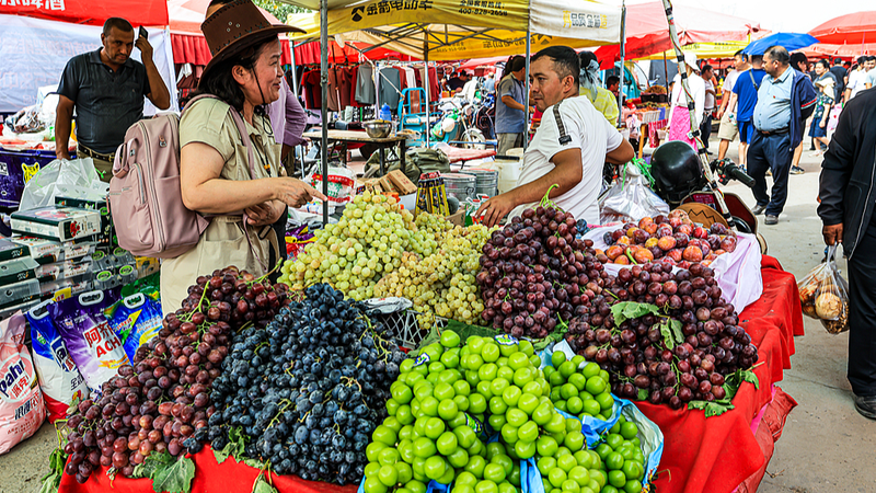 Egyptian Expert Hails Xinjiang’s Stability, Debunks Western Claims Egyptian Expert Hails Xinjiang’s Stability, Debunks Western Claims