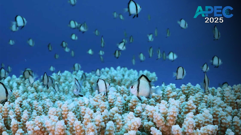 APEC_Members_Forge_Stronger_Ecology_Partnerships_Across_Asia_Pacific - My Global News: Voices of a New Era APEC_Members_Forge_Stronger_Ecology_Partnerships_Across_Asia_Pacific