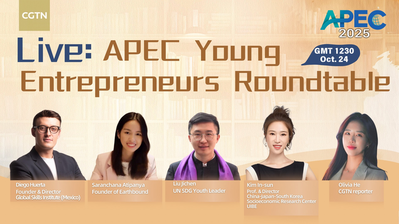 APEC_Youth_Entrepreneurs_Roundtable_Sparks_Global_Innovation_poster - My Global News: Voices of a New Era APEC_Youth_Entrepreneurs_Roundtable_Sparks_Global_Innovation video poster