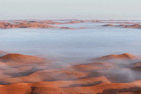 Autumn Mist Transforms Tengger Desert into Golden Dreamscape Autumn_Mist_Transforms_Tengger_Desert_into_Golden_Dreamscape video poster