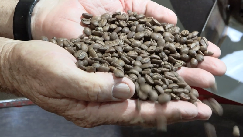 Brazilian_Farmers_Pivot_Amid_US_Tariff_Shake_Up video poster