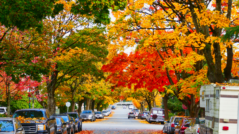 Canada’s Maple Leaf Trail: Autumn’s Colors and a Maple Syrup Boom Canada_s_Maple_Leaf_Trail__Autumn_s_Colors_and_a_Maple_Syrup_Boom