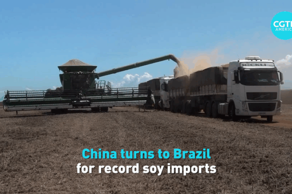 China Boosts Imports with Brazil’s Record Soy Harvest China_Boosts_Imports_with_Brazil_s_Record_Soy_Harvest video poster