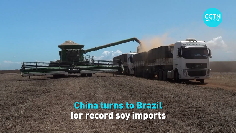 China_Boosts_Imports_with_Brazil_s_Record_Soy_Harvest_poster - My Global News: Voices of a New Era China_Boosts_Imports_with_Brazil_s_Record_Soy_Harvest video poster