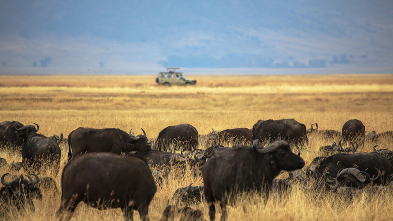 China_and_Tanzania_Launch_Ngorongoro_Lengai_Geopark_to_Boost_Research_and_Tourism - My Global News: Voices of a New Era China_and_Tanzania_Launch_Ngorongoro_Lengai_Geopark_to_Boost_Research_and_Tourism