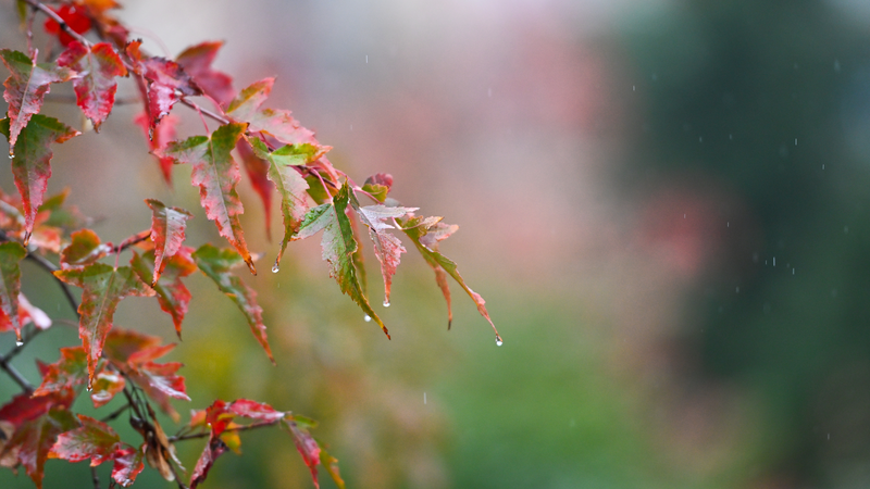 Chinese_Mainland_Issues_Rainstorm_and_Wind_Alerts_Across_Key_Regions