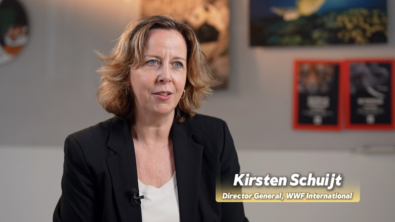 Chinese_Mainland_s__Two_Mountains__Concept__A_Blueprint_for_Sustainable_Growth video poster