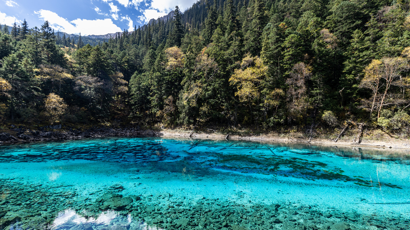 Exploring Jiuzhaigou’s Spectacular Five-Color Lake Exploring_Jiuzhaigou_s_Spectacular_Five_Color_Lake video poster