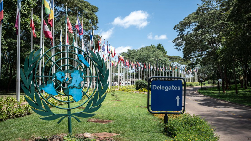 GGI Reinforces the UN’s Role in Global Environmental Governance GGI_Reinforces_the_UN_s_Role_in_Global_Environmental_Governance