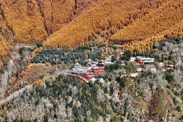 Golden October at Mount Wutai: A Sea of Autumn Color Golden_October_at_Mount_Wutai__A_Sea_of_Autumn_Color video poster