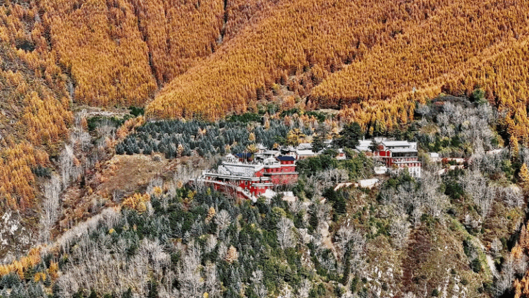 Golden_October_at_Mount_Wutai__A_Sea_of_Autumn_Color video poster