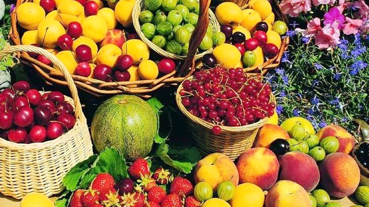 Hainan FTZ Policies Power Up Tropical Agri-Exports Hainan_FTZ_Policies_Power_Up_Tropical_Agri_Exports