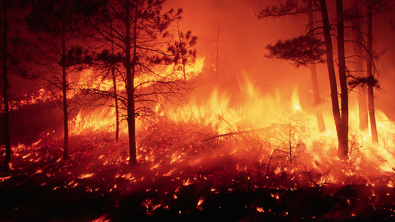 Half of Worst Wildfires Hit in Last Decade, Study Finds Half_of_Worst_Wildfires_Hit_in_Last_Decade__Study_Finds
