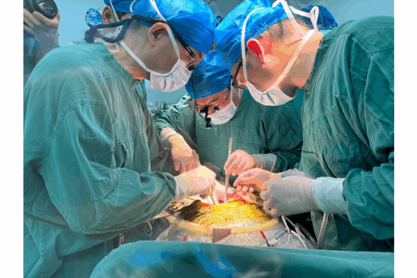 Historic Xenotransplant: Gene-Edited Pig Liver Sustains Human for Nearly Six Months Historic_Xenotransplant__Gene_Edited_Pig_Liver_Sustains_Human_for_Nearly_Six_Months