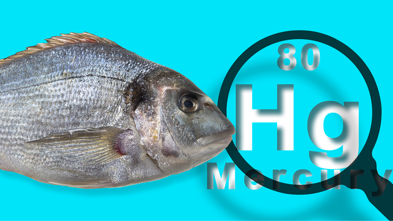 Human Activity Accelerates Ocean Mercury Release, Scientists Warn Human_Activity_Accelerates_Ocean_Mercury_Release__Scientists_Warn