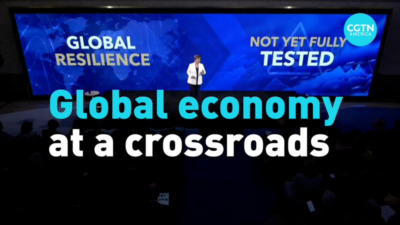 IMF: Global Economy Holds Strong Amid Tariffs, But Uncertainty Looms IMF__Global_Economy_Holds_Strong_Amid_Tariffs__But_Uncertainty_Looms video poster