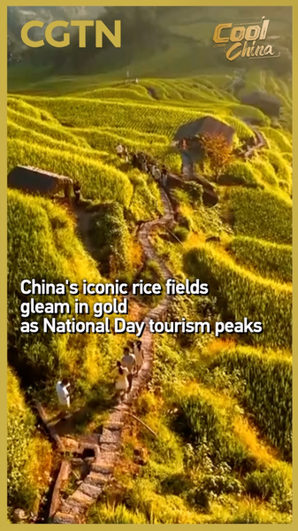 Golden Terraces Shine: National Day Tourists Flock to Jiangxi’s Ancient Rice Fields video poster