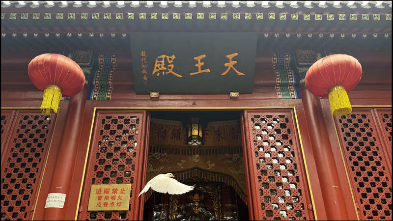 Incense__Stained_Glass__and_the_Tide__A_Serene_Morning_in_Qingdao - My Global News: Voices of a New Era Incense__Stained_Glass__and_the_Tide__A_Serene_Morning_in_Qingdao