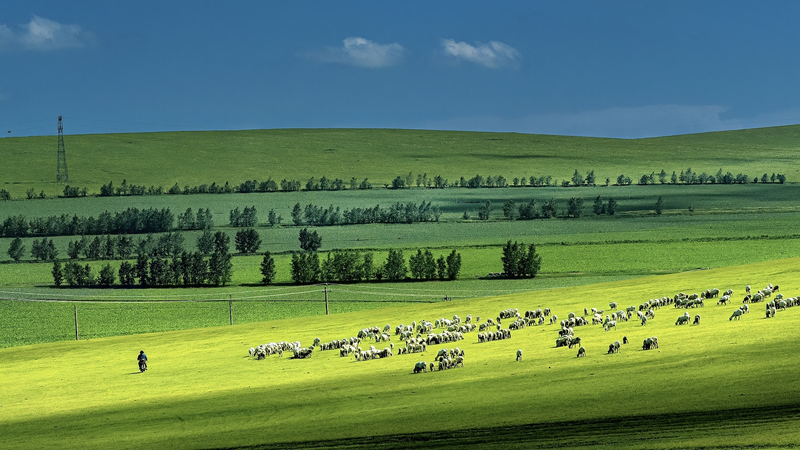 Intensifying Drought Threatens Grasslands Worldwide Intensifying_Drought_Threatens_Grasslands_Worldwide