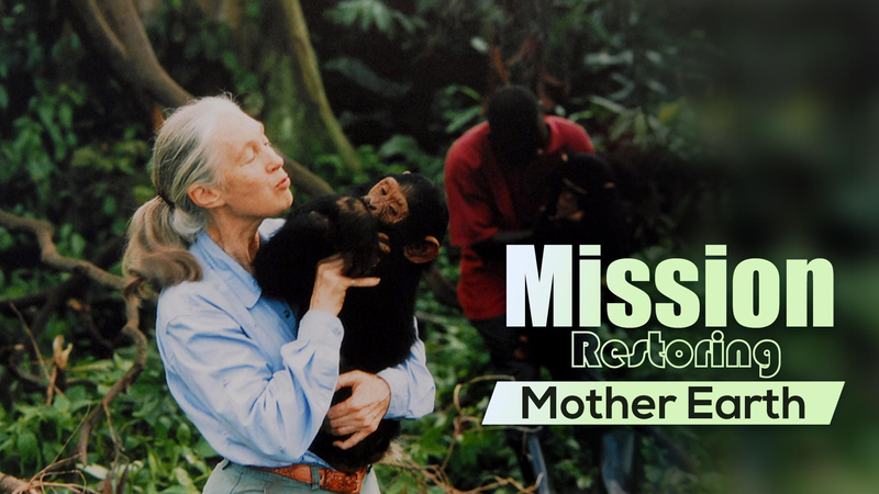 Jane Goodall, Legendary Primatologist, Dies at 91 Jane_Goodall__Legendary_Primatologist__Dies_at_91 video poster