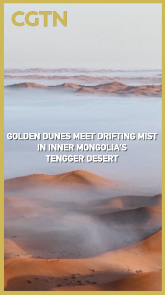 Misty_Marvel__Rain_Meets_Sand_in_Inner_Mongolia_s_Tengger_Desert video poster