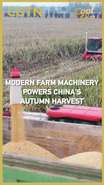 Modern Farm Machinery Powers Chinese Mainland’s Autumn Harvest Modern_Farm_Machinery_Powers_Chinese_Mainland_s_Autumn_Harvest video poster