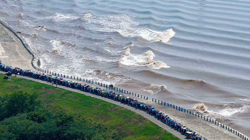 2025 Qiantang River Tidal Bore: Nature’s Silver Roar 2025 Qiantang River Tidal Bore: Nature’s Silver Roar video poster
