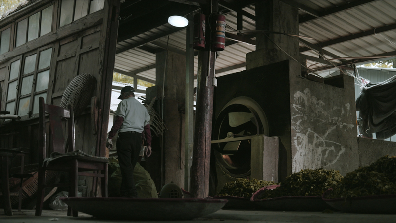 Behind the Blue Hue: Master Lin Yunlian’s Taiwan Oolong Secrets Behind the Blue Hue: Master Lin Yunlian’s Taiwan Oolong Secrets video poster