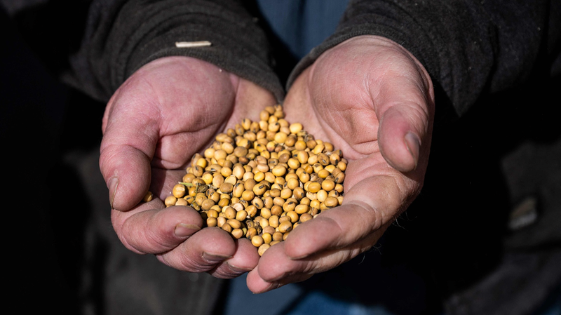 Port Fees Boomerang: US Farmers Face Rising Shipping Costs Port_Fees_Boomerang__US_Farmers_Face_Rising_Shipping_Costs