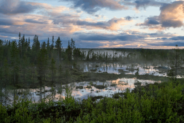 Russia Launches First Forest-Climate Project in the Arctic Russia_Launches_First_Forest_Climate_Project_in_the_Arctic