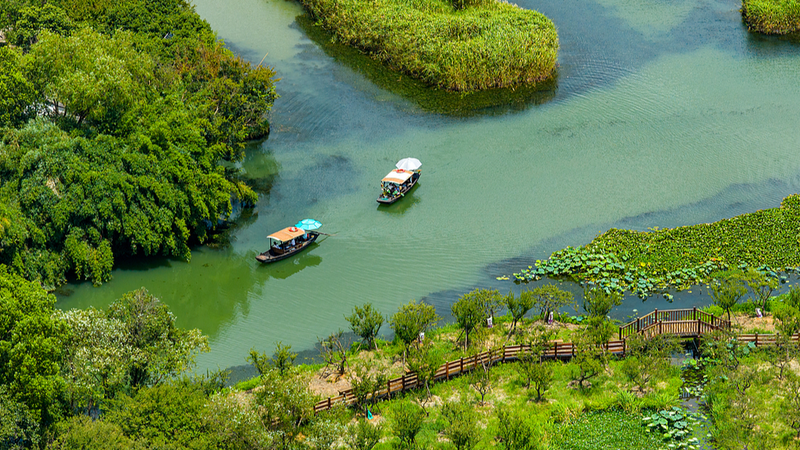 Glide Through Xixi: Hangzhou’s First National Wetland Park Glide Through Xixi: Hangzhou’s First National Wetland Park video poster