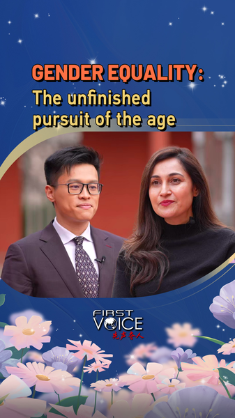 The_Long_Road_to_Gender_Equality__30_Years_After_Beijing_Declaration video poster