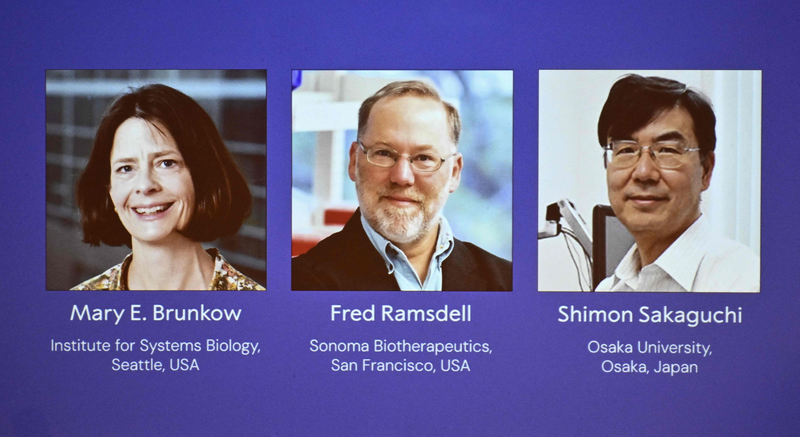 Trio_Wins_2025_Nobel_Prize_for_Immune_Tolerance_Discoveries - My Global News: Voices of a New Era Trio_Wins_2025_Nobel_Prize_for_Immune_Tolerance_Discoveries
