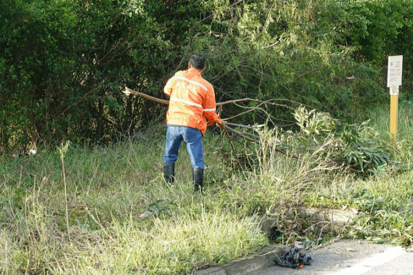 Typhoon Matmo Strikes Guangxi and Yunnan: 20,000 Relief Kits Deployed Typhoon_Matmo_Strikes_Guangxi_and_Yunnan__20_000_Relief_Kits_Deployed