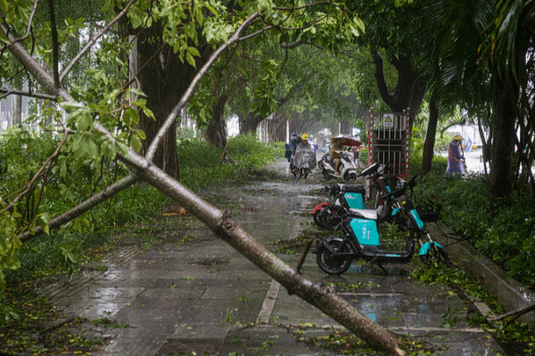 Typhoon Matmo Weakens After Guangxi Landfall, Relief Efforts Underway Typhoon_Matmo_Weakens_After_Guangxi_Landfall__Relief_Efforts_Underway