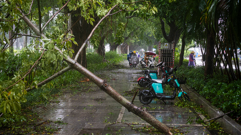 Typhoon_Matmo_Weakens_After_Guangxi_Landfall__Relief_Efforts_Underway