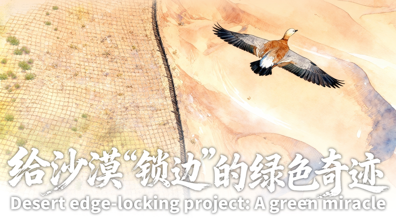 Ningxia’s 153km Green Barrier: Taming the Tengger Desert Ningxia’s 153km Green Barrier: Taming the Tengger Desert