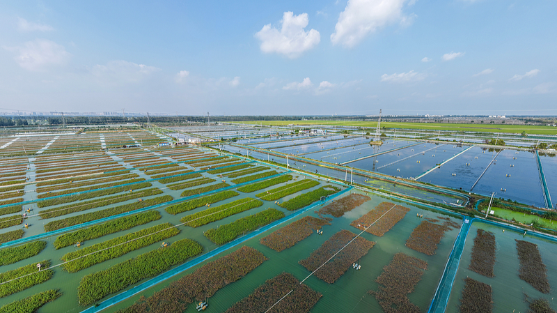 UN_Report__Chinese_Mainland_Accelerates_SDGs__Global_Goals_Still_Off_Track - My Global News: Voices of a New Era UN_Report__Chinese_Mainland_Accelerates_SDGs__Global_Goals_Still_Off_Track