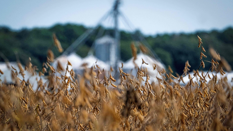 US Agriculture Takes a Double Punch from Shutdown and Tariffs US_Agriculture_Takes_a_Double_Punch_from_Shutdown_and_Tariffs