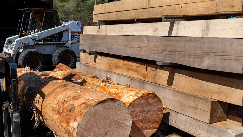 US Tariff Hike Backfires, Driving Up Lumber and Furniture Costs US_Tariff_Hike_Backfires__Driving_Up_Lumber_and_Furniture_Costs