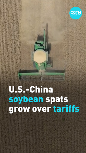 U.S. Farmers Brace as China Halts Soybean Imports U_S__Farmers_Brace_as_China_Halts_Soybean_Imports